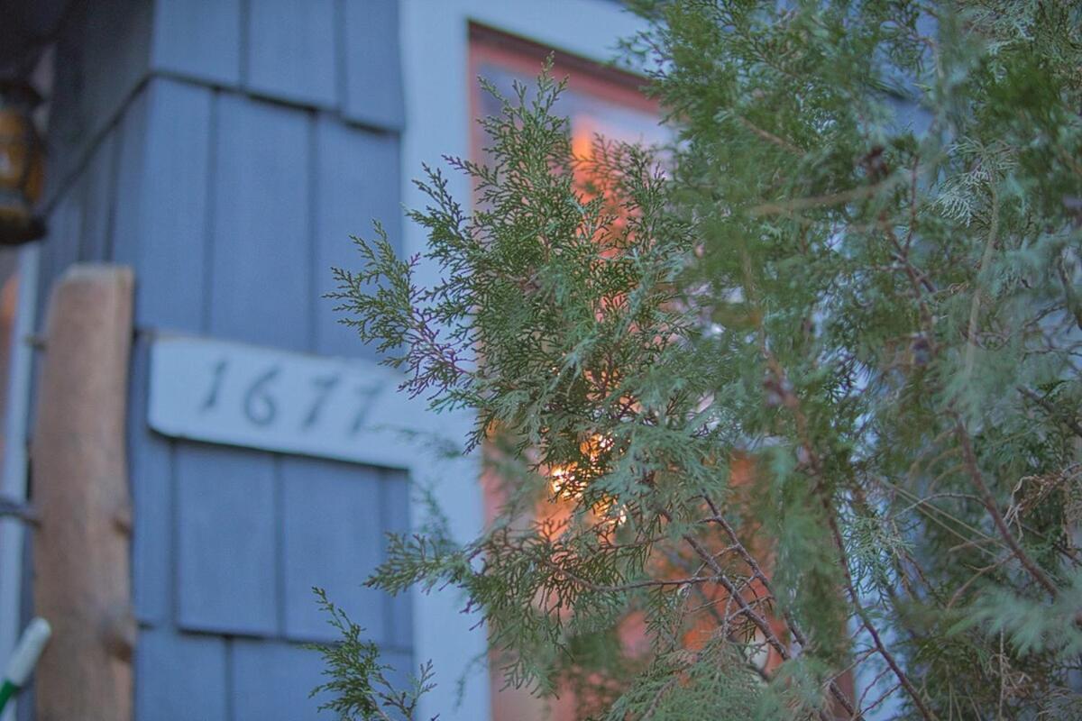 Ray'S Dear Cottage Wrightwood Exterior foto